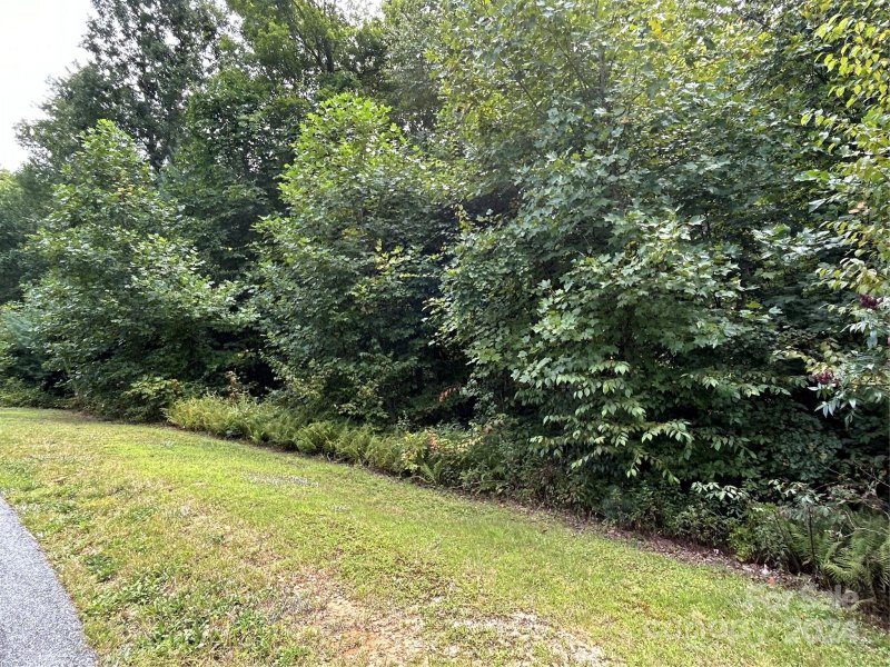 Property image 3 of Tbd Peppervine Circle in Round Mountain Falls, Brevard, NC 28712