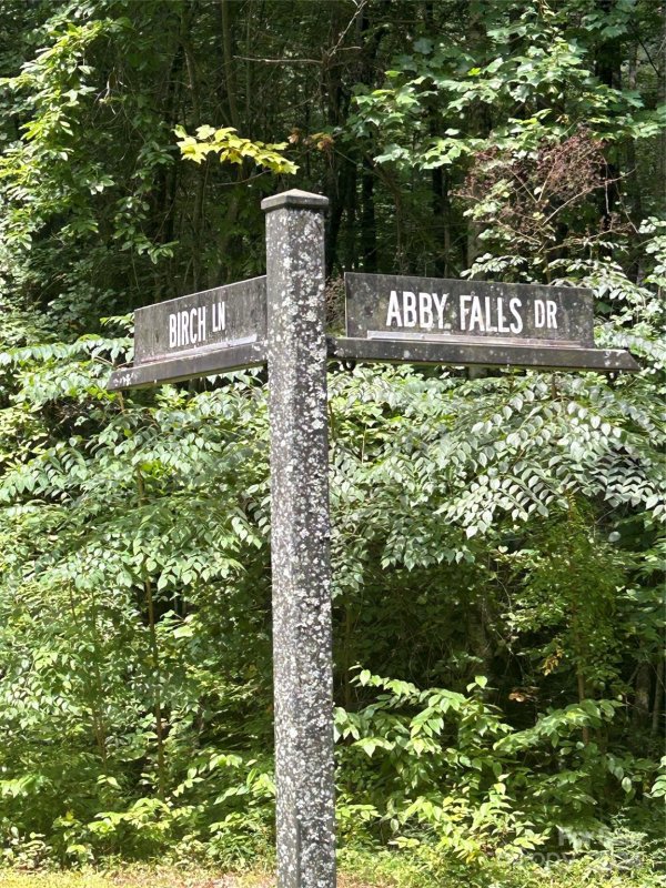 Property image 2 of Tbd W Birch Lane in Round Mountain Falls, Brevard, NC 28712