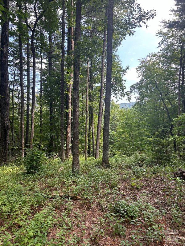 Property image 4 of Tbd W Birch Lane in Round Mountain Falls, Brevard, NC 28712
