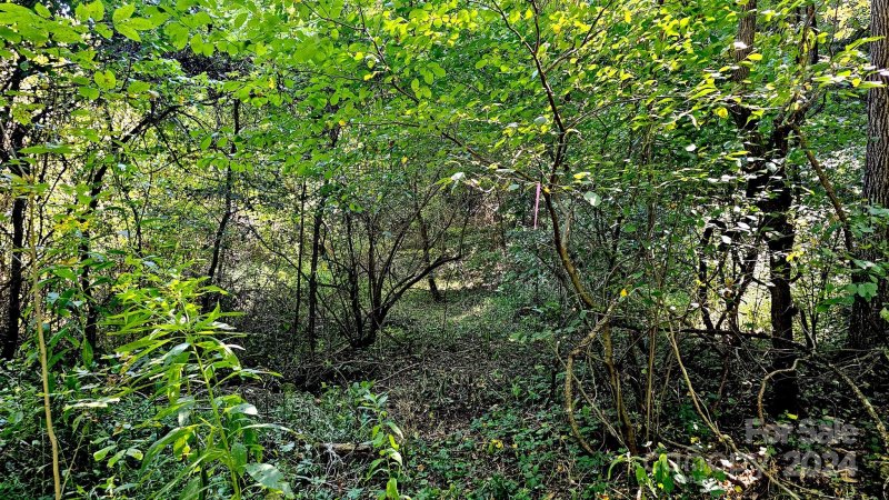 Property image 4 of 197 Starling Pass in Versant, Asheville, NC 28804