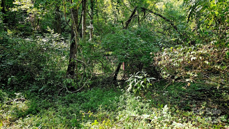 Property image 5 of 197 Starling Pass in Versant, Asheville, NC 28804