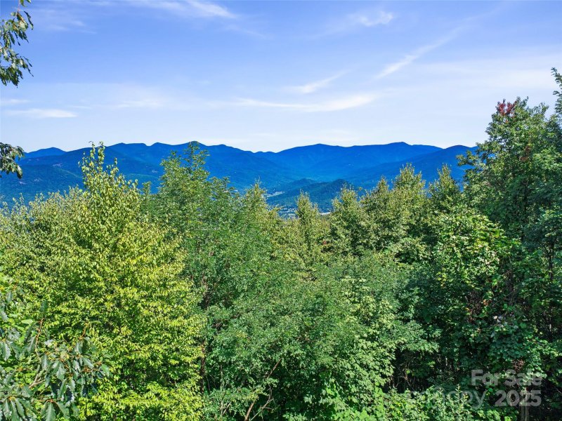 Alpine Mountain, Swannanoa Community