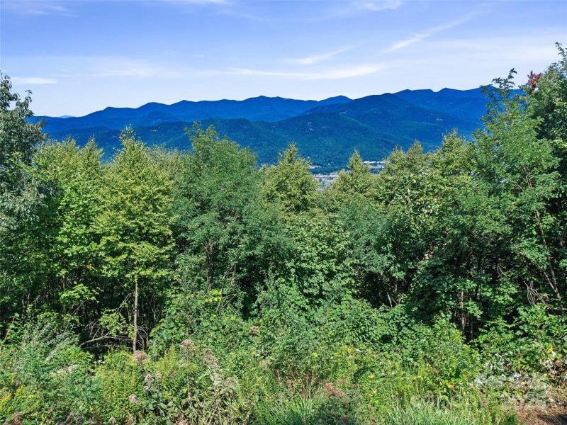 Property image 2 of 4 8 Acres Mountain Lily Ridge Drive in Alpine Mountain, Swannanoa, NC 28778