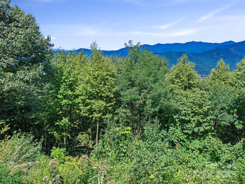 Property image 4 of 4 8 Acres Mountain Lily Ridge Drive in Alpine Mountain, Swannanoa, NC 28778