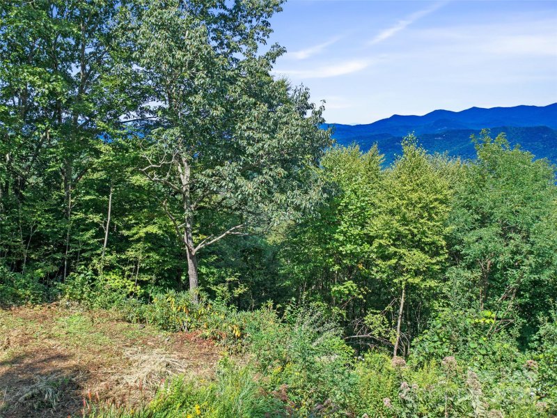 Property image 5 of 4 8 Acres Mountain Lily Ridge Drive in Alpine Mountain, Swannanoa, NC 28778