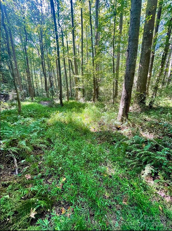 Property image 3 of Lot 19 Knottywood Lane in Cedar Grove Heights, Vale, NC 28168
