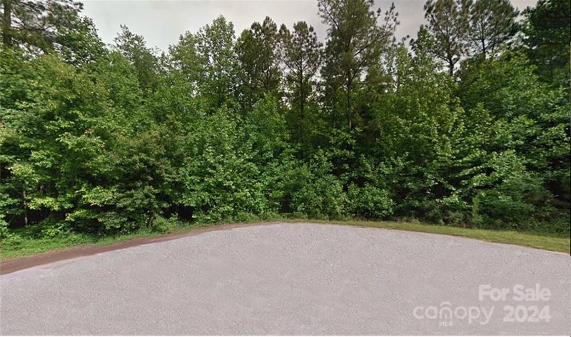 Property image 2 of Lot 20 Knottywood Lane in Cedar Grove Heights, Vale, NC 28168