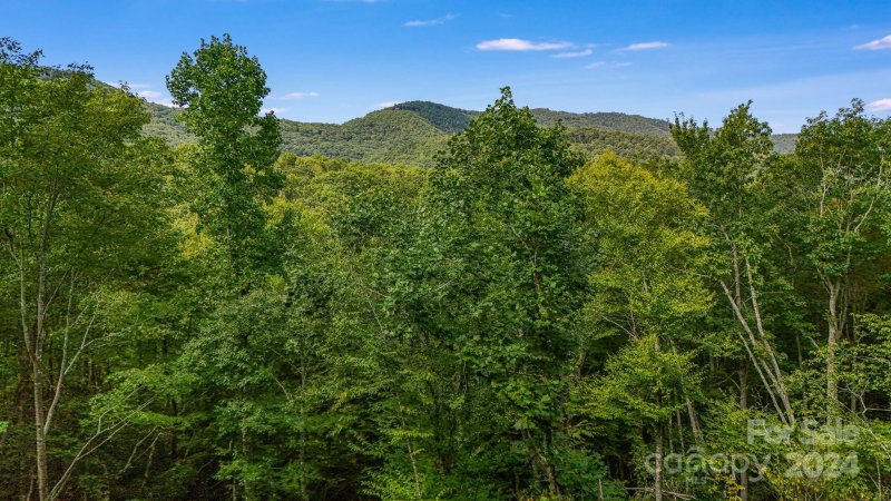 Property image 2 of Lot D52 Springwater Road in Chinquapin, Glenville, NC 28736