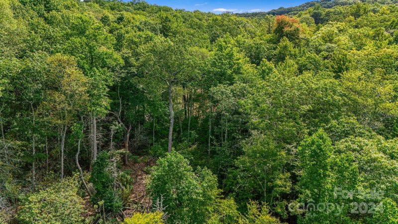 Property image 3 of Lot D52 Springwater Road in Chinquapin, Glenville, NC 28736