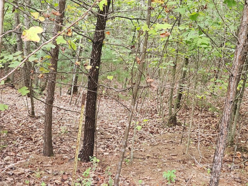 Property image 3 of Lot 104 Boysenberry Drive in Blackberry Creek, Nebo, NC 28761