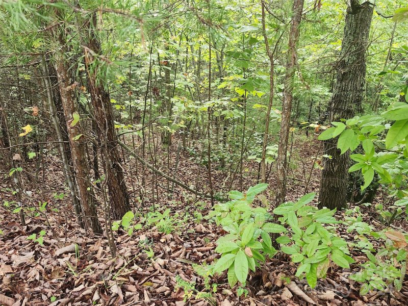 Property image 4 of Lot 104 Boysenberry Drive in Blackberry Creek, Nebo, NC 28761