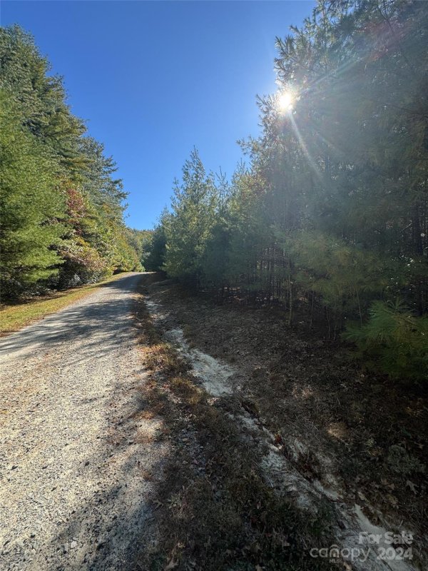 Property image 3 at 999 Stone Way Drive, Cedar Mountain, NC 28718