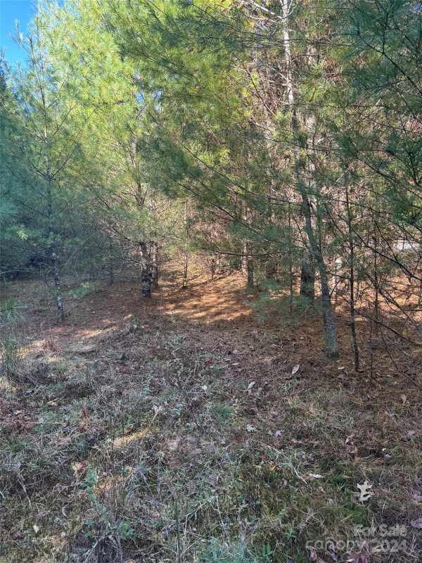 Property image 5 at 999 Stone Way Drive, Cedar Mountain, NC 28718