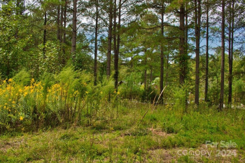 Property image 3 at 0 Hearthstone Drive, Union Mills, NC 28167