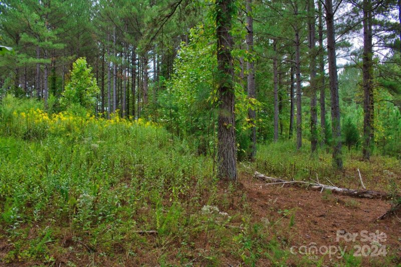 Property image 4 at 0 Hearthstone Drive, Union Mills, NC 28167