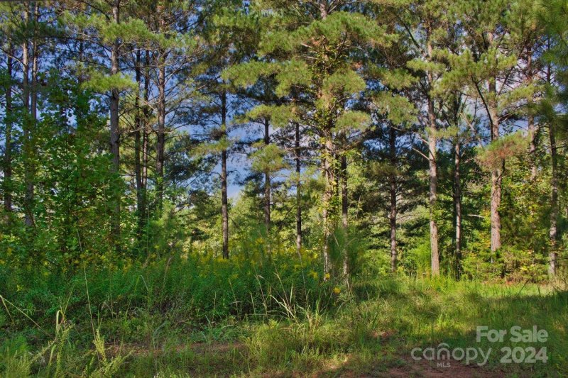 Property image 5 at 0 Hearthstone Drive, Union Mills, NC 28167