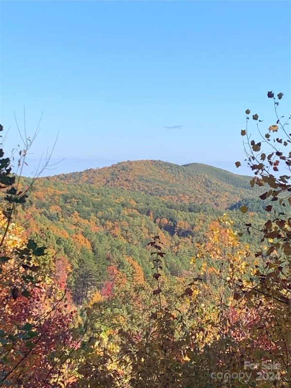 High Peak Mountain, Valdese community