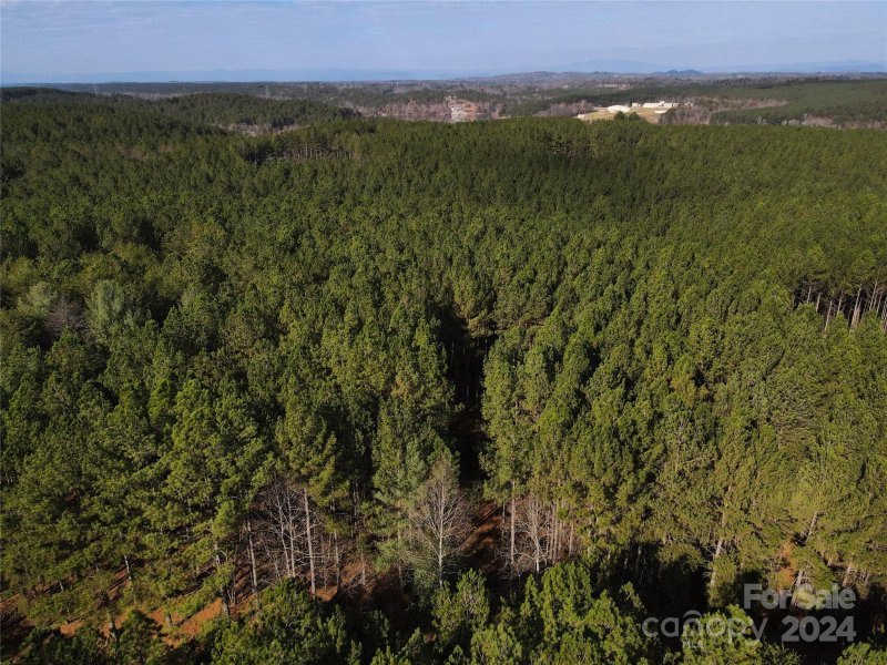 Property image 2 at 2893 E Paradise Harbor Drive, Connelly Springs, NC 28612