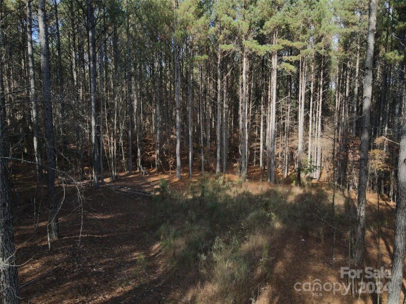 Property image 3 at 2893 E Paradise Harbor Drive, Connelly Springs, NC 28612
