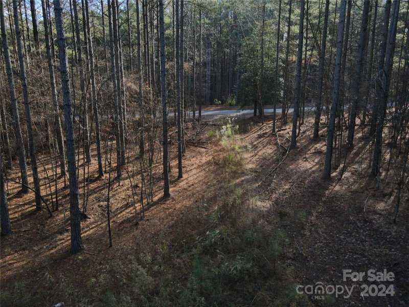 Property image 4 at 2893 E Paradise Harbor Drive, Connelly Springs, NC 28612