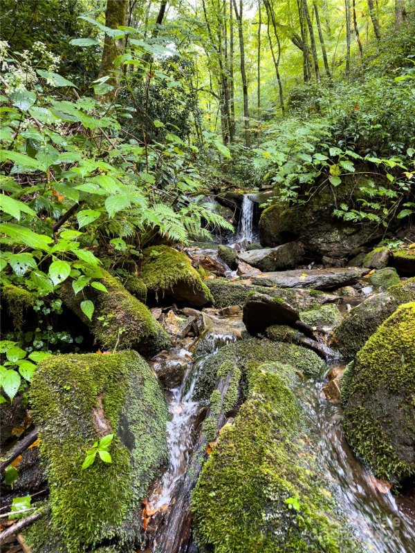 Property image 2 of Lot 59 Black Rock Road in Black Rock Creek, Qualla, NC 28719