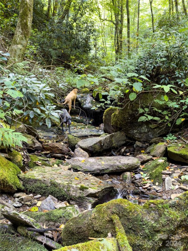 Property image 3 of Lot 59 Black Rock Road in Black Rock Creek, Qualla, NC 28719