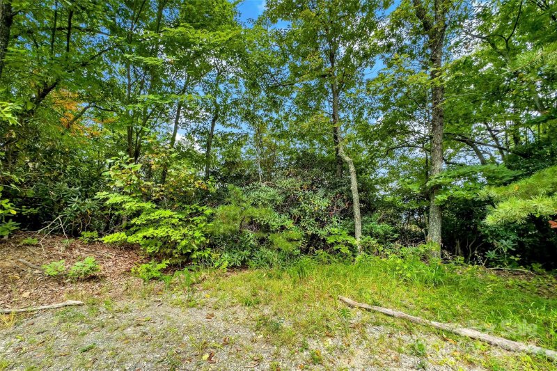 Property image 3 at 83 Rock Drive, Old Fort, NC 28762