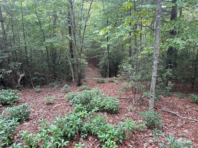 Property image 3 at 0 Waters Edge Drive, Nebo, NC 28761