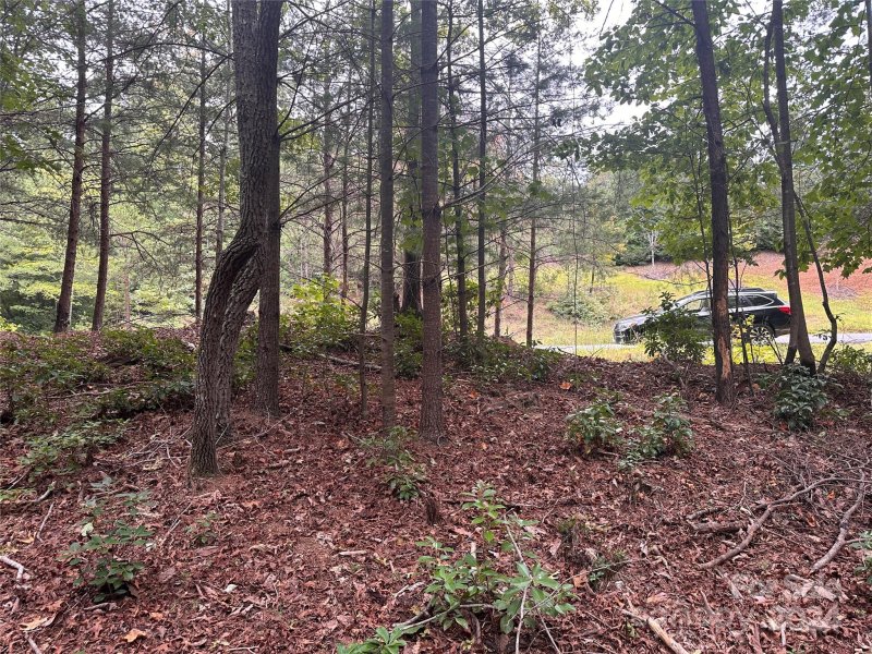 Property image 4 at 0 Waters Edge Drive, Nebo, NC 28761