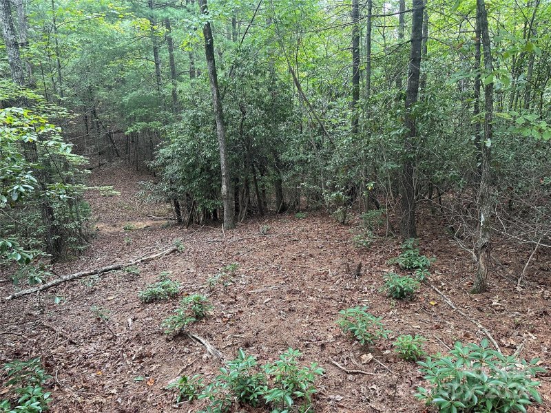 Property image 5 at 0 Waters Edge Drive, Nebo, NC 28761