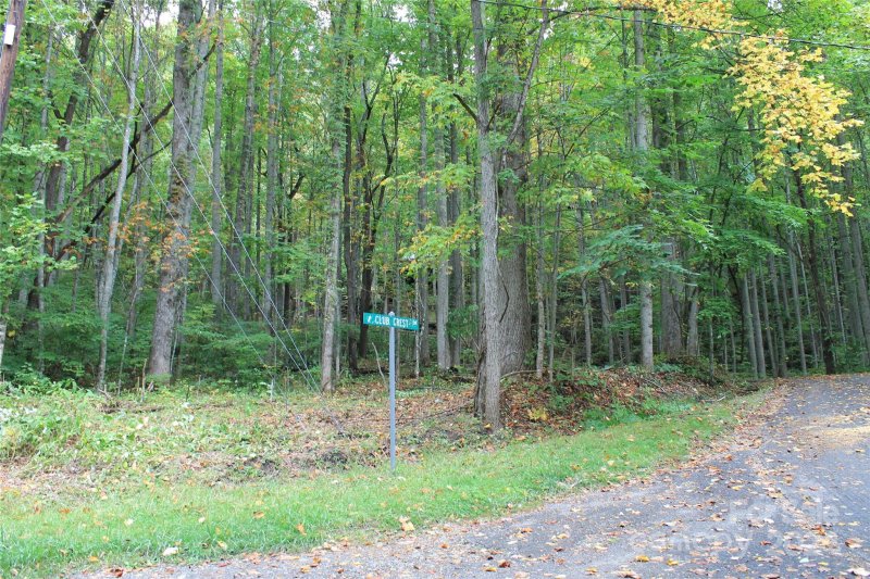 Property image 2 at 21 Club Crest Road, Maggie Valley, NC 28751