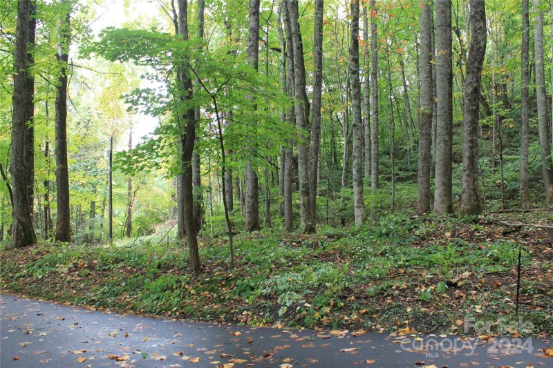 Property image 4 at 21 Club Crest Road, Maggie Valley, NC 28751