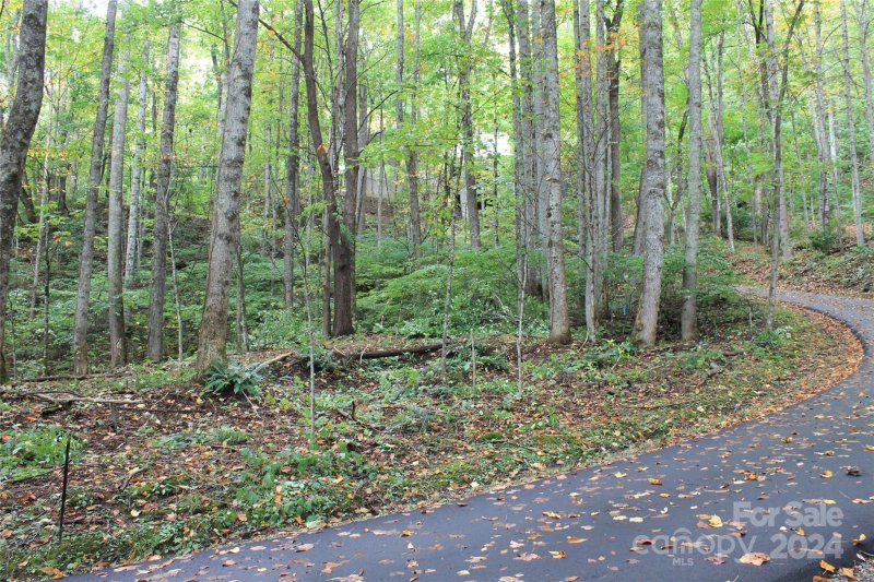 Property image 5 at 21 Club Crest Road, Maggie Valley, NC 28751