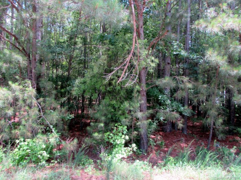 Property image 5 at 6748 Mandarin Drive, Rock Hill, SC 29732