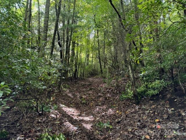 Property image 4 of 000 Gateway Drive in Pathways Of Solomon, Hendersonville, NC 28739