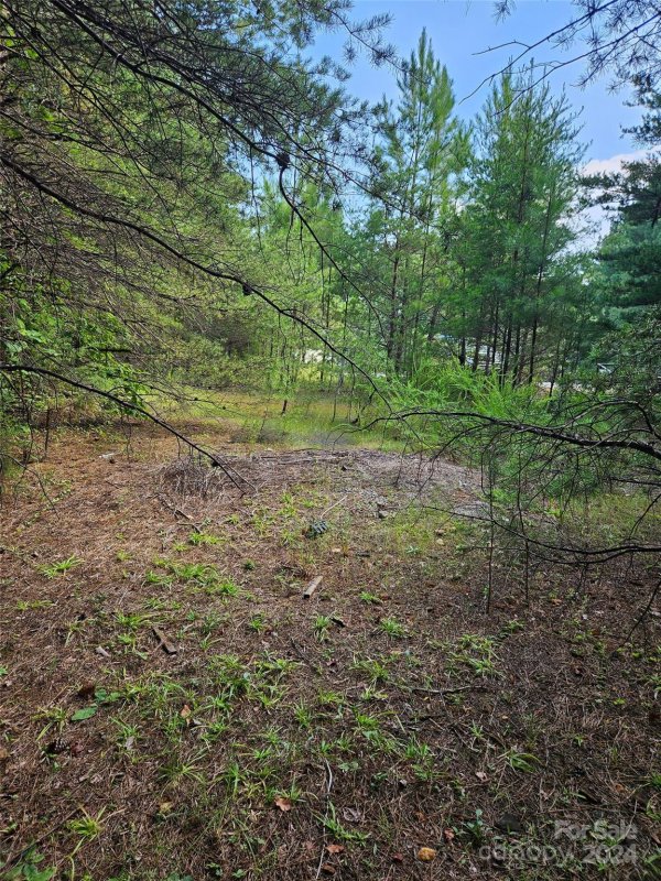 Property image 3 at 0 Pumkin Patch None, Rutherfordton, NC 28139