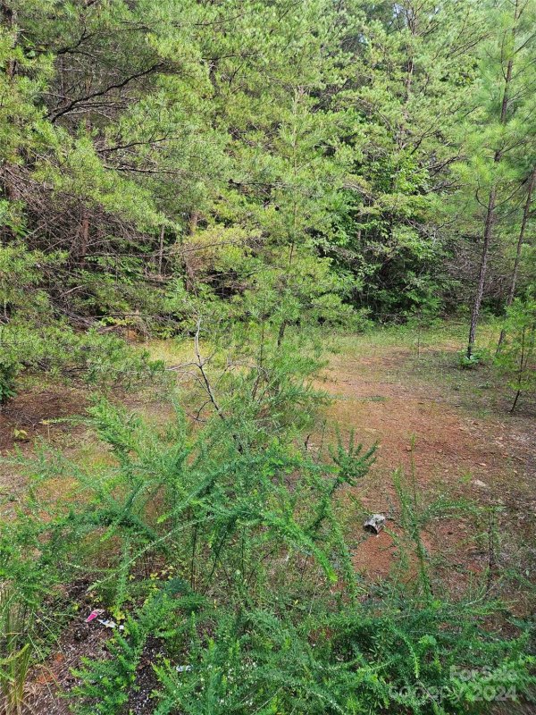Property image 4 at 0 Pumkin Patch None, Rutherfordton, NC 28139