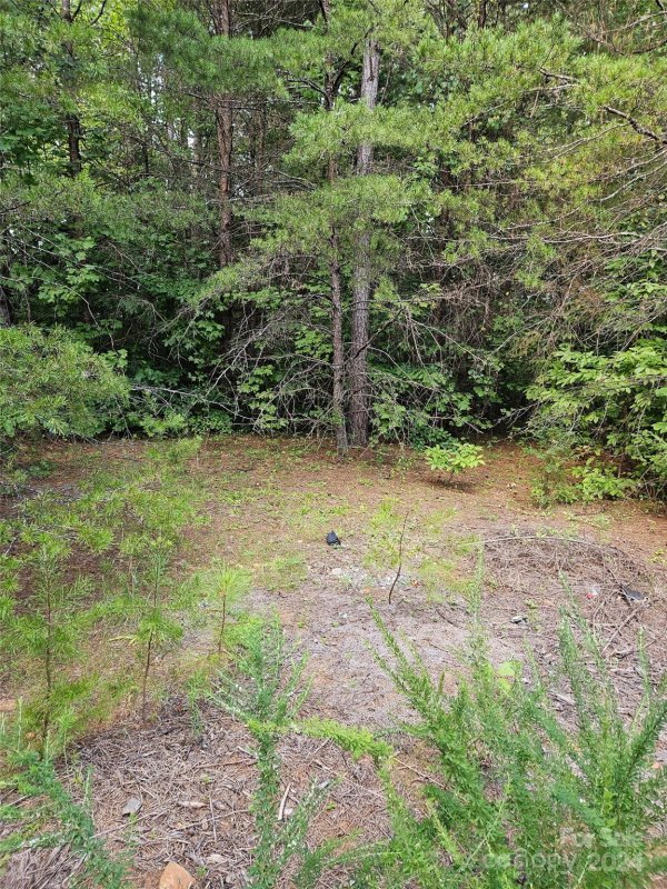 Property image 5 at 0 Pumkin Patch None, Rutherfordton, NC 28139