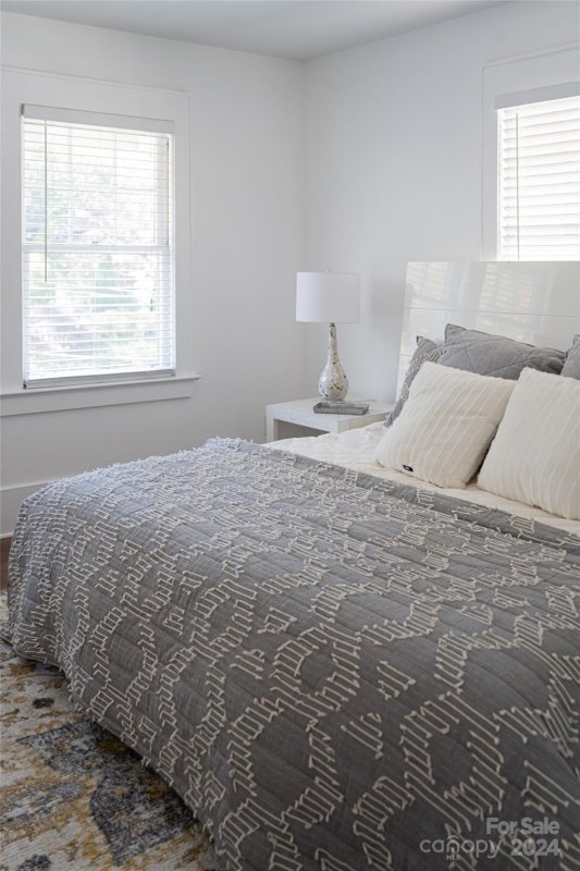 Property image 5 at 117 Flint Street, Asheville, NC 28801