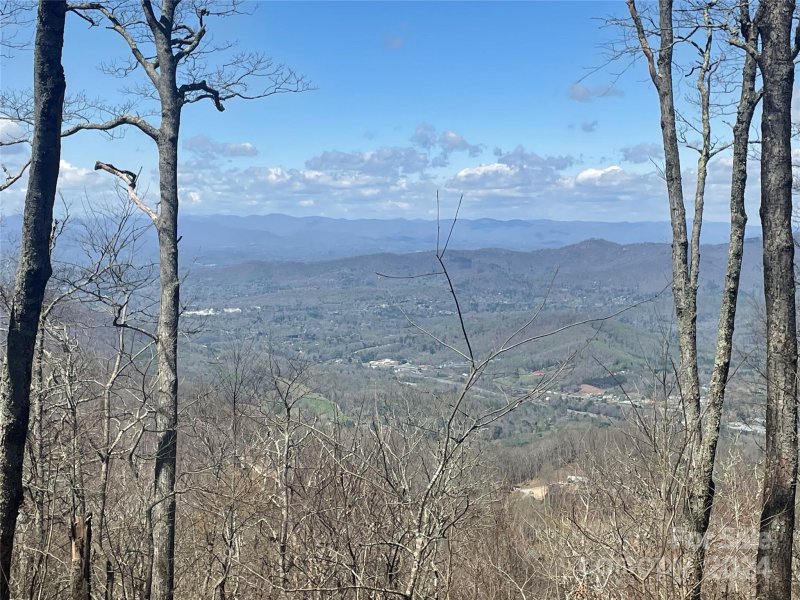 99999 Fairview Forest Drive