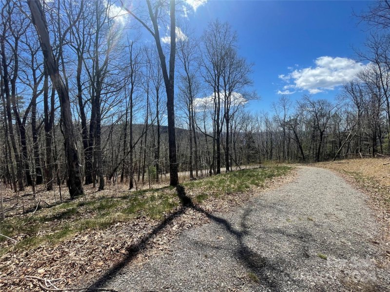 Property image 4 at 99999 Fairview Forest Drive, Fairview, NC 28730