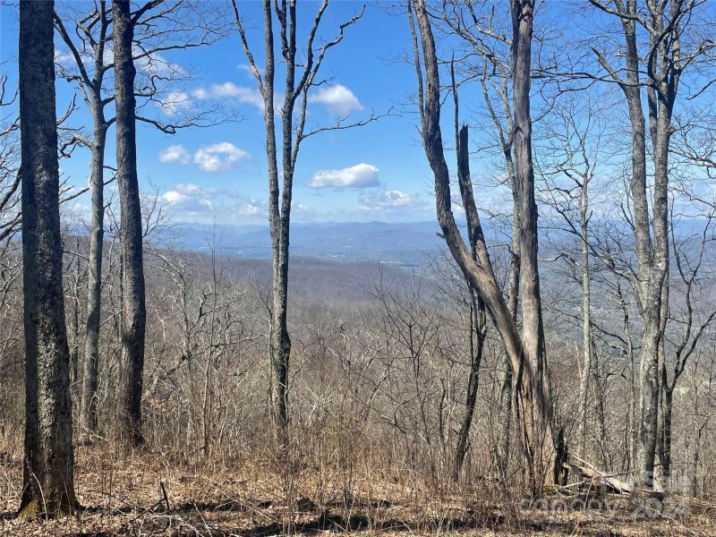 Property image 3 at 99999 Fairview Forest Drive, Fairview, NC 28730