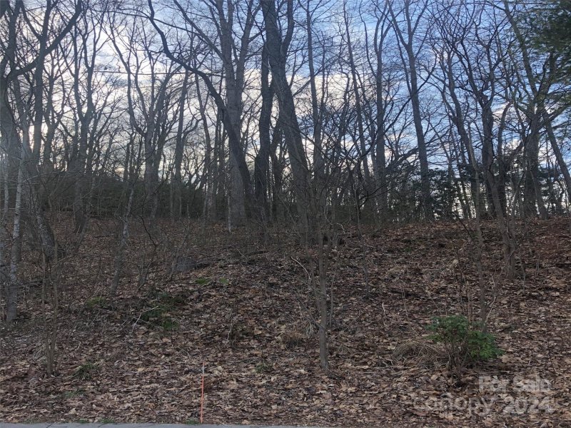 Property image 2 at 328 Carriage Crest Drive, Hendersonville, NC 28791