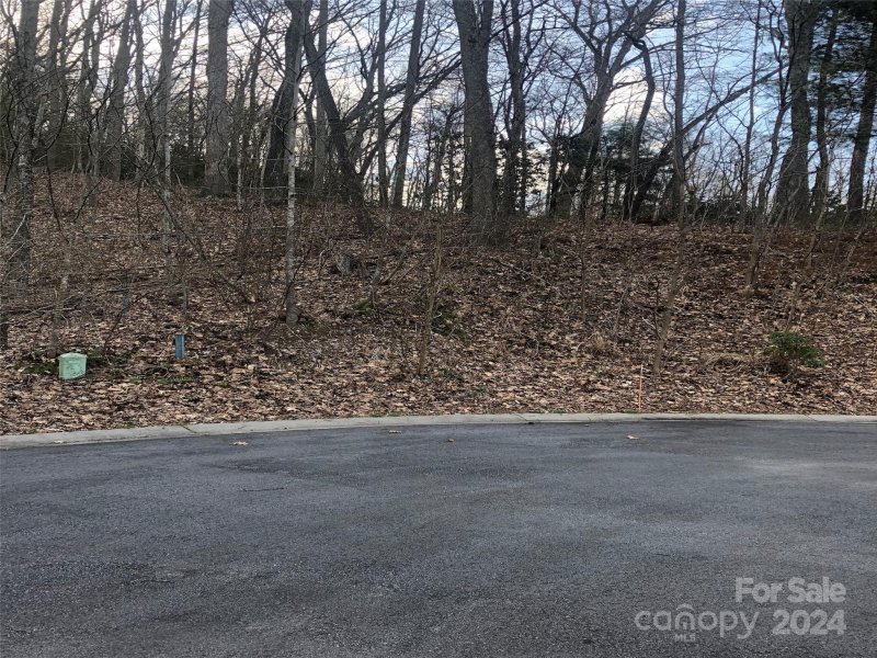 Property image 4 at 328 Carriage Crest Drive, Hendersonville, NC 28791