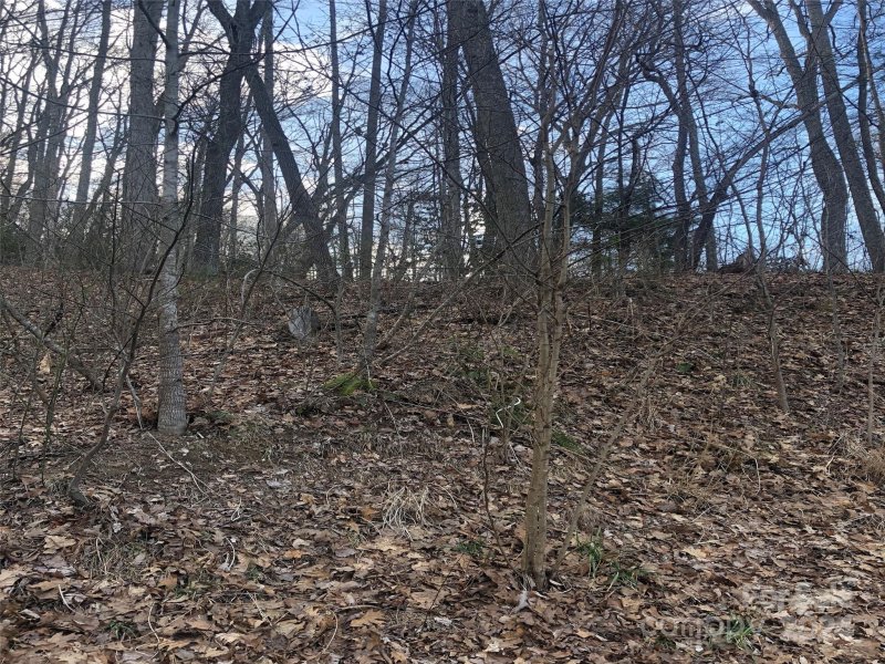 Property image 5 at 328 Carriage Crest Drive, Hendersonville, NC 28791