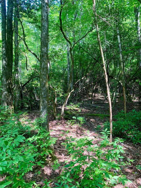 Tbd Double Creek Drive