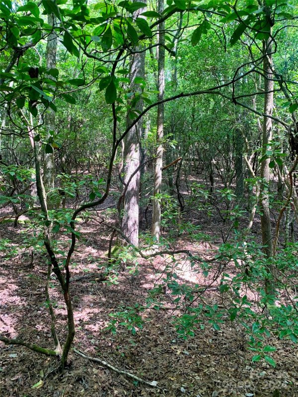 Property image 2 of Tbd Double Creek Drive in Oak Laurel, Brevard, NC 28712