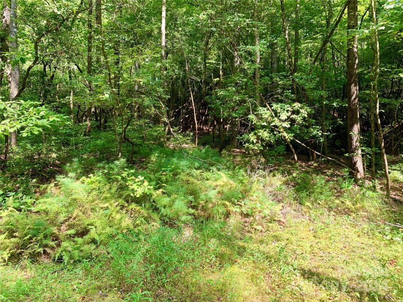 Property image 4 of Tbd Double Creek Drive in Oak Laurel, Brevard, NC 28712