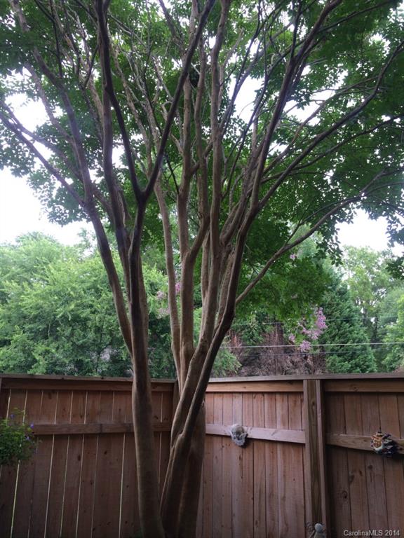 Property image 5 at 725 Clayfield Court, Charlotte, NC 28209