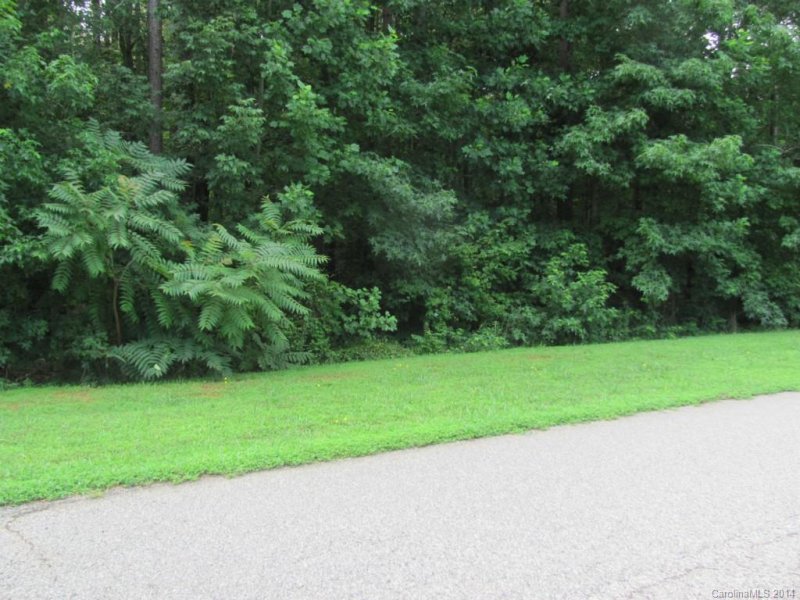 Property image 4 at N A Sweeping Pine Drive, Denver, NC 28037